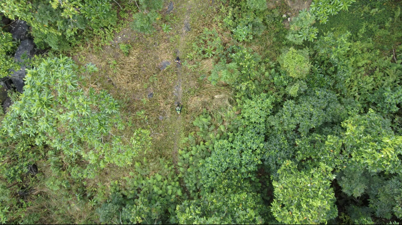 ENVIRONMENTAL